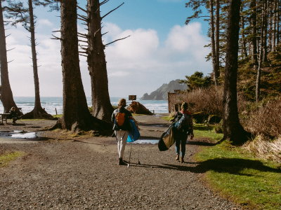 Wildlife Adventure Destinations