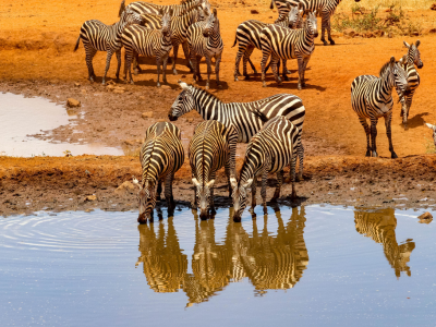 Top South Africa Trip Packages from Mumbai