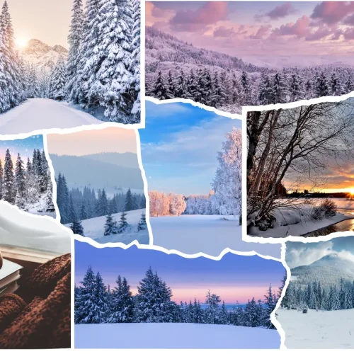 Affordable Travel Agency in Thane