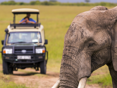 Pilgrim Tour Packages from Mumbai