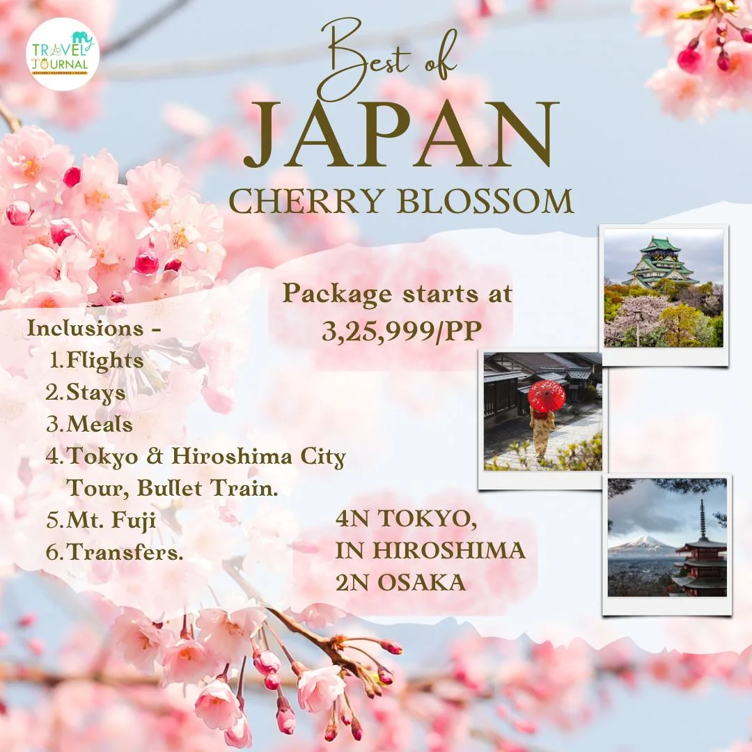 japan cherry blossom