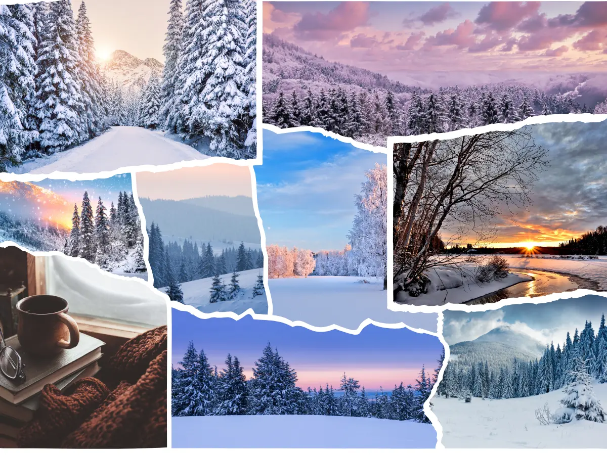 Affordable Travel Agency in Thane